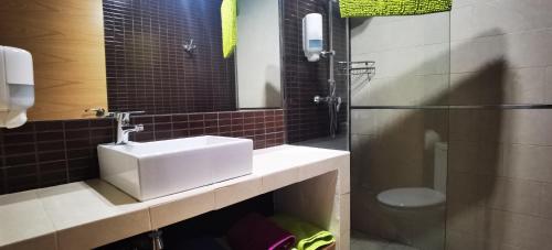 a bathroom with a sink and a toilet at ALMAALQUILER Clavería 11 in Almagro