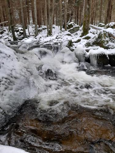 a stream with snow and ice in a forest at Penzion Romance in Vyšší Brod