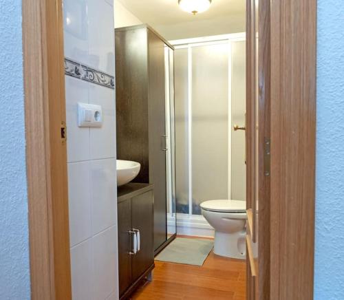 a bathroom with a toilet and a sink at Casa Rural La Pinara in La Adrada