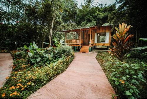 Afbeelding uit fotogalerij van Hostería Kumbha Mela Mindo in Mindo