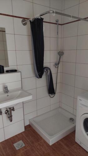 La salle de bains est pourvue d'une douche, d'un lavabo et de toilettes. dans l'établissement Apartma Samo 3, à Kranj