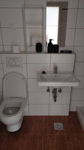 La salle de bains est pourvue de toilettes et d'un lavabo. dans l'établissement Apartma Samo 3, à Kranj