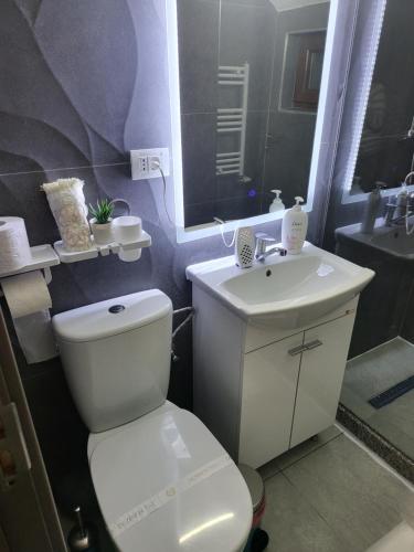 Ένα μπάνιο στο Soimii Bucovinei Residence