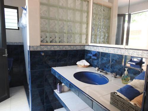 y baño con lavabo azul y ducha. en Habitación independiente a pie del lago con AC en Tequesquitengo