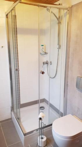 a bathroom with a glass shower with a toilet at Apartment Silva in Kappel-Grafenhausen