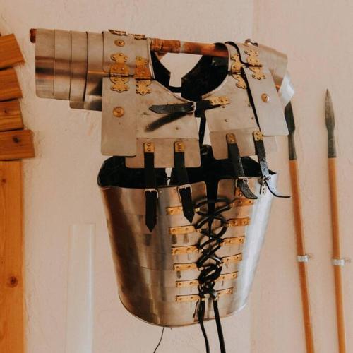 a robot is hanging on a wall at Lavender Castle in Sequim