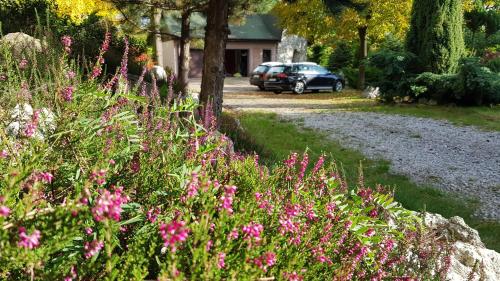 Zahrada ubytování Apartament Podskalański
