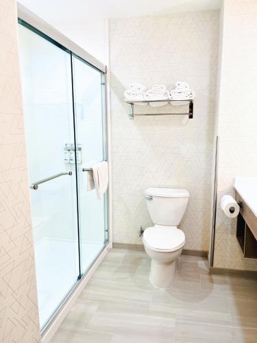 a bathroom with a toilet and a glass shower at Holiday Inn Express & Suites Frazier Park by IHG in Lebec