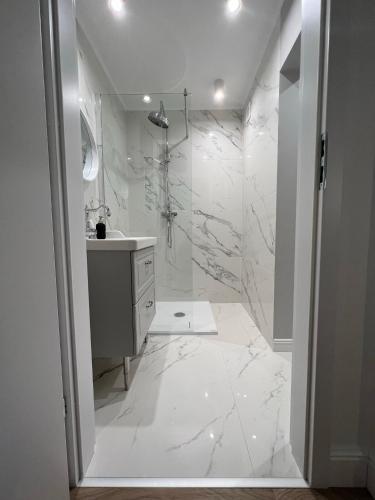 a white bathroom with a sink and a shower at Igart Studio in Leszno