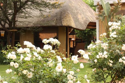 Gallery image of 3 Brothers B&B in Edenvale