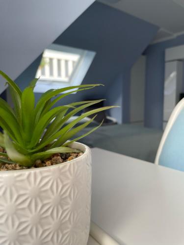 ヴィースバーデンにあるDeluxe Apartmentの白鍋植物