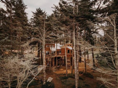 a tree house in the middle of the forest at Treehouse-Small Eagles Perch over the water in Port Angeles