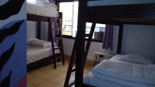 two bunk beds in a room with a bed at Supertramp Hostel Machupicchu in Machu Picchu