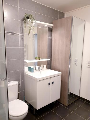 La salle de bains est pourvue de toilettes, d'un lavabo et d'un miroir. dans l'établissement Appartement studio cosy O fil de l'O à 10 mn de Disney, à Crécy-la-Chapelle