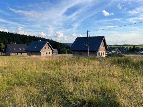 Hřebečná的住宿－Roubenky Hřebečná，草场上的几所房子