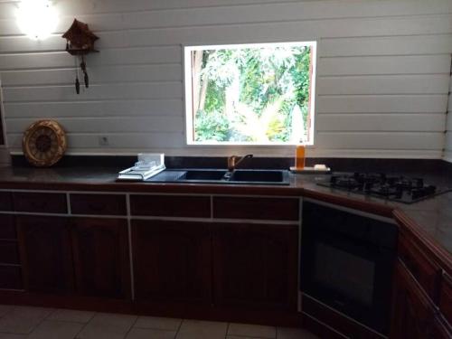 eine Küche mit einem Waschbecken und einem Fenster in der Unterkunft Aux charmes du Saut d'Eau in Saint-Claude