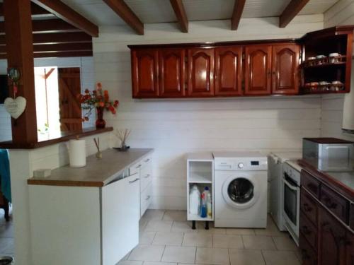 eine Küche mit einem Geschirrspüler und einer Waschmaschine in der Unterkunft Aux charmes du Saut d'Eau in Saint-Claude