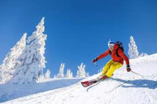 Катание на лыжах на территории дома для отпуска или поблизости