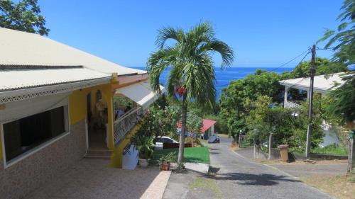 a house with a palm tree next to a street at Villa Campêche in Bouillante