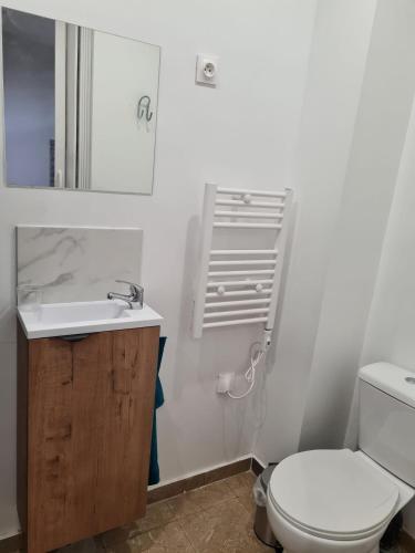 une salle de bain avec des toilettes blanches et un lavabo dans l'établissement Studio indépendant et bien équipé avec véranda commune, à Neuilly-sur-Marne