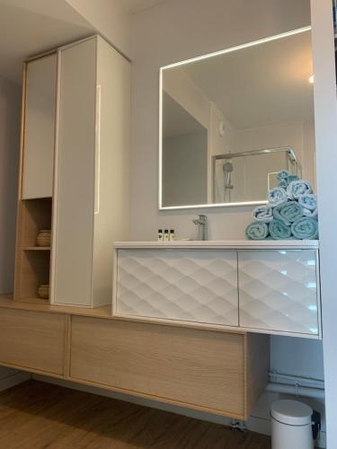 a bathroom with a sink and a mirror at Face mer pieds dans l'eau in Berck-sur-Mer