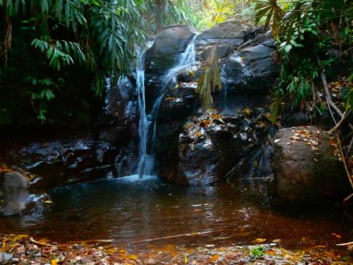 a waterfall in the middle of a forest at Jaibaná Spa in Támesis