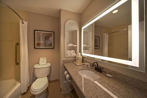 a bathroom with a toilet and a sink and a mirror at Wingate by Wyndham Houston Bush Intercontinental Airport in Houston