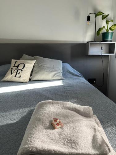 um quarto com uma cama com uma toalha em Moderno Monoambiente céntrico em Paraná