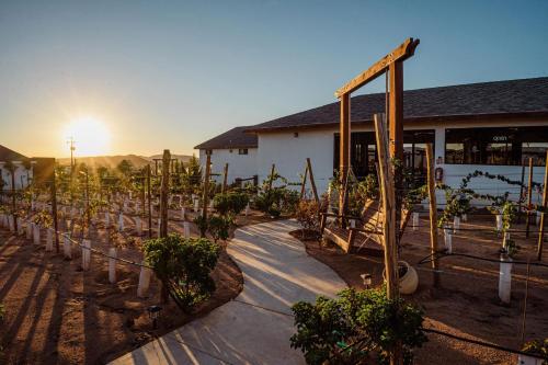 a garden with a playground with trees and plants at Entrevalle Hotel Boutique in Valle de Guadalupe