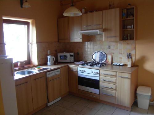 a small kitchen with a stove and a sink at Penzión Admit in Terchová