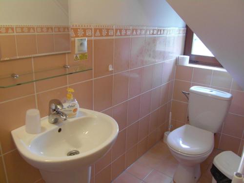 a bathroom with a sink and a toilet at Penzión Admit in Terchová