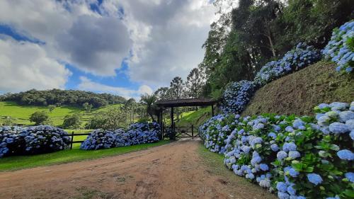 Fazenda Leão da Montanha