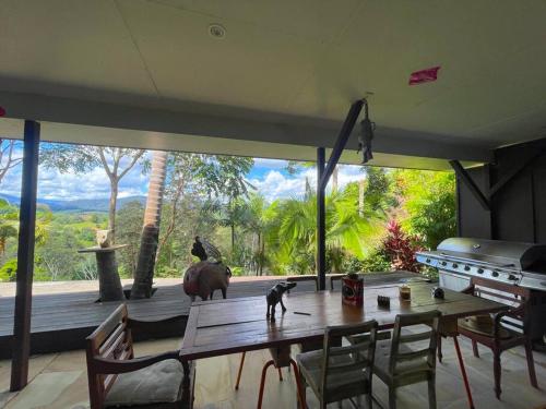 a cat standing on a table in a room with a large window at Golden Retreat Ultimate 5 Bed - Villa & Guesthouse in Uki