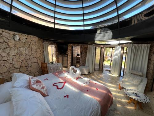 a bedroom with a large bed and a glass ceiling at Cabañas Caballieri in Pisco Elqui