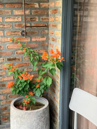 a plant in a pot next to a brick wall at Kaia Gallery Hotel Hoi An in Hoi An