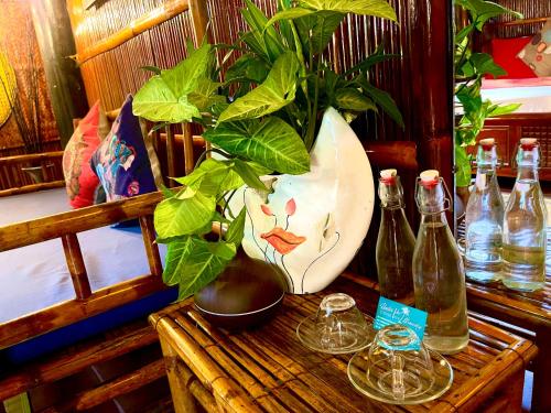 Bebidas en Under The Coconut Tree Hoi An Homestay