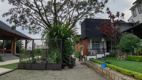 Κήπος έξω από το Samami Garden