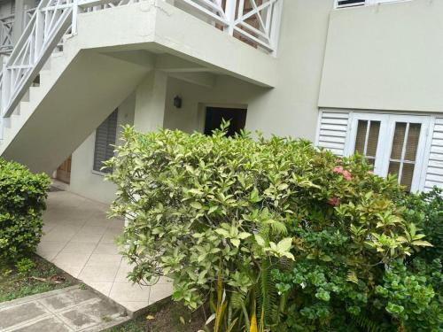 a white house with a bunch of green bushes at Finest Accommodation Renfrew Place 1 Bedroom Apt # 42 New Kgn 4--12 Renfrew Rd in Kingston