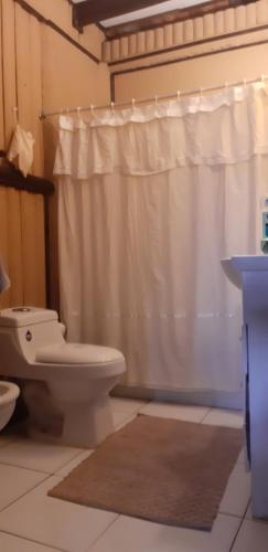 ein Bad mit einem WC und einem Duschvorhang in der Unterkunft El Carmen de Los Guindos, Las Choicas, Curicó in Curicó