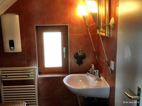 a bathroom with a sink and a window at Hoefthus 1 in Alt Reddevitz