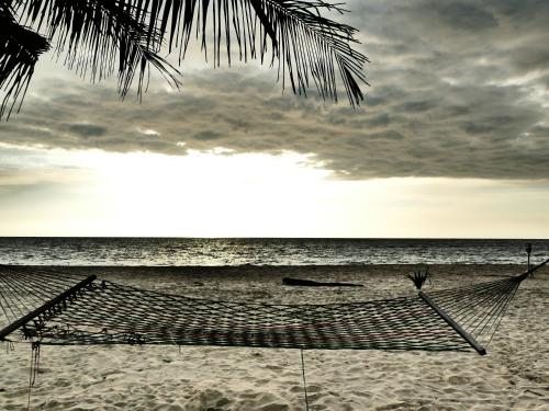 a hammock on a beach with the ocean at Marari SeaLap Beach Villas in Mararikulam