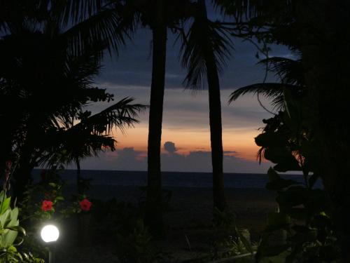 a view of the ocean from a beach with palm trees at Marari SeaLap Beach Villas in Mararikulam
