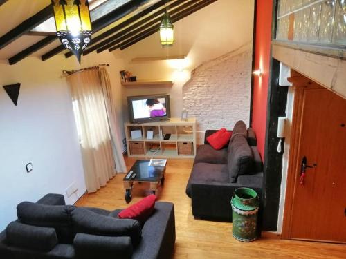 uma sala de estar com dois sofás e uma televisão em Centro-bahía de Santander. WIFI em Santander
