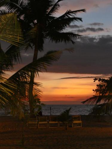 a sunset on the beach with benches and a palm tree at Marari SeaLap Beach Villas in Mararikulam