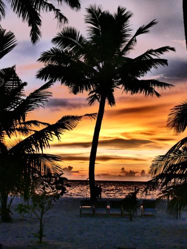 a palm tree on the beach with a sunset at Marari SeaLap Beach Villas in Mararikulam
