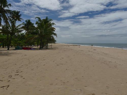 a sandy beach with palm trees and the ocean at Marari SeaLap Beach Villas in Mararikulam