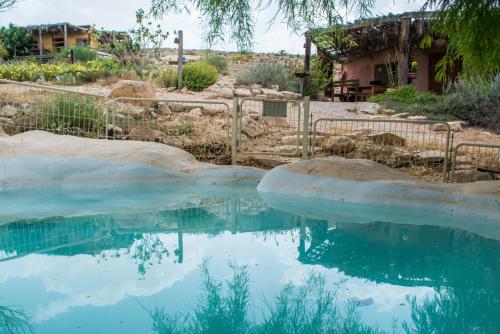 a pool of water in front of a house at Desert Estate Carmey Avdat in Midreshet Ben Gurion