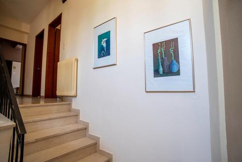 Imagen de la galería de Koukonas, en Galaxidhion