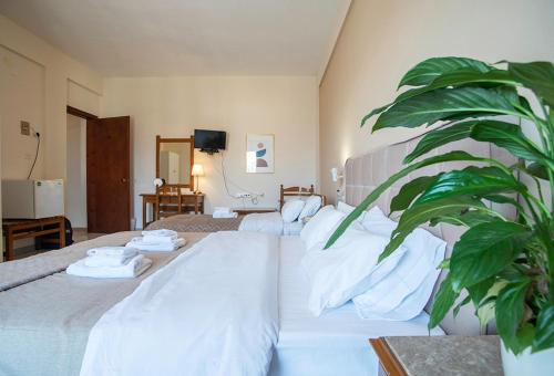 a hotel room with two beds and a potted plant at Koukonas in Galaxidi