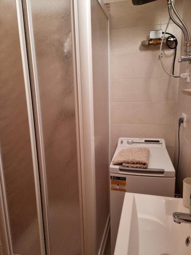 un piccolo bagno con doccia e piano cottura di Trento- Monte Bondone Appartamento tipico di montagna a Norge
